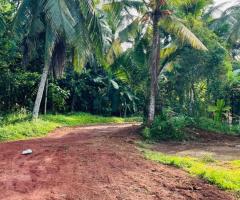 Large Flat Land for Sale in Korathota, Kaduwela! 🏞️