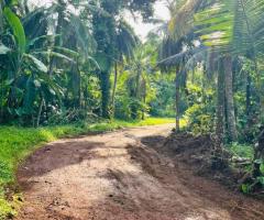 Large Flat Land for Sale in Korathota, Kaduwela! 🏞️ - 4