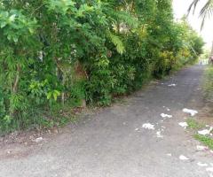 🏡 A Unique Investment Opportunity in Ambalangoda, Keraminya! (Large Land with Three Houses) ✨ - 2