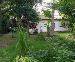 🏡 A Unique Investment Opportunity in Ambalangoda, Keraminya! (Large Land with Three Houses) ✨ - 3