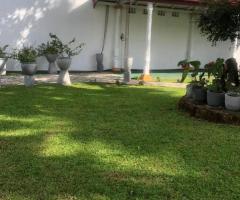 Your Dream Home Awaits! A Spacious Modern House on Thelangapatha Road, Wattala! - 6