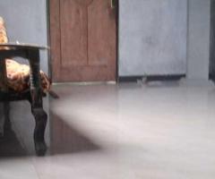 🏡 A Unique Investment Opportunity in Ambalangoda, Keraminya! (Large Land with Three Houses) ✨ - 6