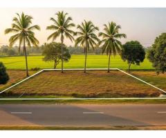 Prime Residential Land in Kalutara, Facing a Scenic Paddy Field!