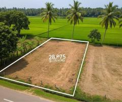 Prime Residential Land in Kalutara, Facing a Scenic Paddy Field! - 2