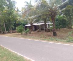 (Bandara Koswatta: Your Dream Home & Expansive Land Awaits - 4