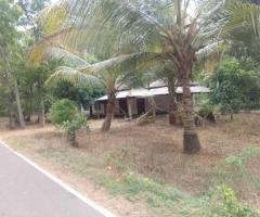 (Bandara Koswatta: Your Dream Home & Expansive Land Awaits - 5