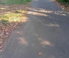 🌳 Prime 6 Perch Land for Sale in Kirillawala, Kadawatha! ✨ (Bank Loan Facilities Available) - 2