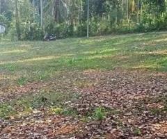 🌳 Prime 6 Perch Land for Sale in Kirillawala, Kadawatha! ✨ (Bank Loan Facilities Available) - 3