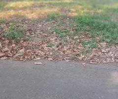 🌳 Prime 6 Perch Land for Sale in Kirillawala, Kadawatha! ✨ (Bank Loan Facilities Available) - 5