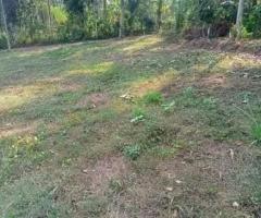 🌳 Prime 6 Perch Land for Sale in Kirillawala, Kadawatha! ✨ (Bank Loan Facilities Available) - 6