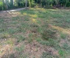 🌳 Prime 6 Perch Land for Sale in Kirillawala, Kadawatha! ✨ (Bank Loan Facilities Available) - 7