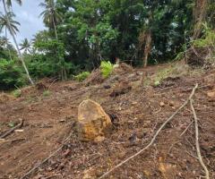 🌳 Prime Land for Sale in Godakawela, Arambedeniya Road! ✨ (Ready to Build)