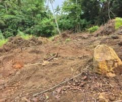 🌳 Prime Land for Sale in Godakawela, Arambedeniya Road! ✨ (Ready to Build) - 2