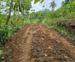 🌳 Prime Land for Sale in Godakawela, Arambedeniya Road! ✨ (Ready to Build) - 5