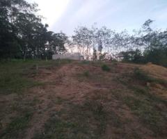🌳 Prime Land for Sale in Eheliyagoda, Udumatta! ✨