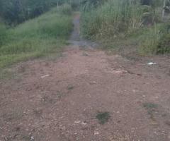 🌳 Prime Land for Sale in Eheliyagoda, Udumatta! ✨ - 3