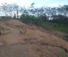 🌳 Prime Land for Sale in Eheliyagoda, Udumatta! ✨ - 6