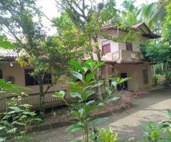 .Weliweriya, Kotuwa 514: 133-Perch Land with Two-Story House - Coconut, Fruit Plantations - 2