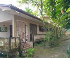 .Weliweriya, Kotuwa 514: 133-Perch Land with Two-Story House - Coconut, Fruit Plantations - 4