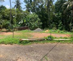 🏡 Prime Land Plots in Mirigama, Naligama: Ideal for Residence, Business, or Cultivation! ✨