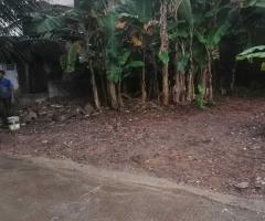 🏡 Land for Sale in Gangodawila! ✨ (Ideal for Residence or Business) - 3