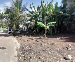 🏡 Land for Sale in Gangodawila! ✨ (Ideal for Residence or Business) - 5