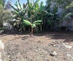 🏡 Land for Sale in Gangodawila! ✨ (Ideal for Residence or Business) - 8