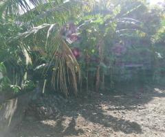 🏡 Land for Sale in Gangodawila! ✨ (Ideal for Residence or Business) - 9