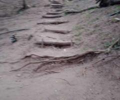 🏕️ Valuable Land in Ampitiya for Business or Resort!🌱 ✨ - 2