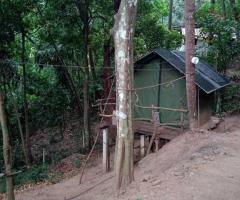 🏕️ Valuable Land in Ampitiya for Business or Resort!🌱 ✨ - 3