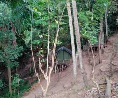 🏕️ Valuable Land in Ampitiya for Business or Resort!🌱 ✨ - 5