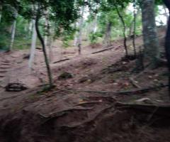 🏕️ Valuable Land in Ampitiya for Business or Resort!🌱 ✨ - 8