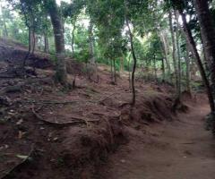 🏕️ Valuable Land in Ampitiya for Business or Resort!🌱 ✨ - 9