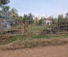 🌳 Prime Land for Sale Near Moragahahena Town!