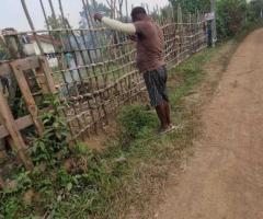 🌳 Prime Land for Sale Near Moragahahena Town! - 2