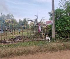 🌳 Prime Land for Sale Near Moragahahena Town! - 3