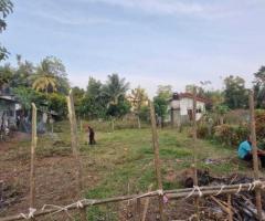 🌳 Prime Land for Sale Near Moragahahena Town! - 4