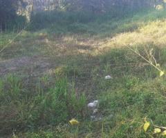 Weliveriya Land for Sale | 100 Perches | Clear Title | Weliveriya-Kirillawala Road - 2