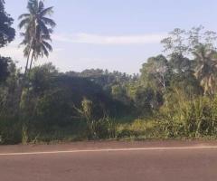 Weliveriya Land for Sale | 100 Perches | Clear Title | Weliveriya-Kirillawala Road - 3