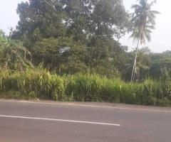 Weliveriya Land for Sale | 100 Perches | Clear Title | Weliveriya-Kirillawala Road - 4