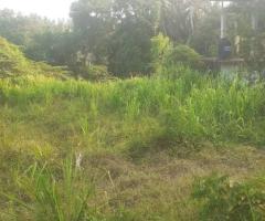 Weliveriya Land for Sale | 100 Perches | Clear Title | Weliveriya-Kirillawala Road - 7
