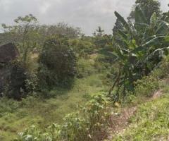 🌳Valuable Land in Gonapola, Kumbuka North - Serene & Connected! 🏞️ - 8