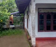 Agalawatta Land for Sale | Rathnapura Road | 20 Perches | Clear Deed