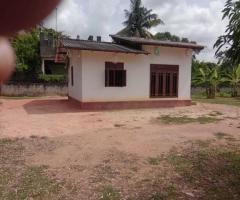 🏡 Spacious Kurunegala Land & House for Sale on Negombo Road! 📍