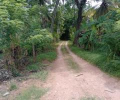 🏡 Spacious Kurunegala Land & House for Sale on Negombo Road! 📍 - 2