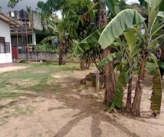 🏡 Spacious Kurunegala Land & House for Sale on Negombo Road! 📍 - 6
