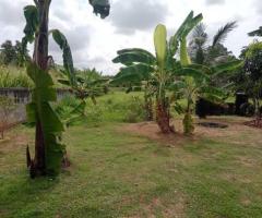 🏡 Spacious Kurunegala Land & House for Sale on Negombo Road! 📍 - 7