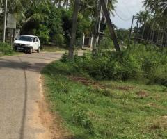 🌟 Prime Land for Sale in Tangalle: Perfect for a Residence or Investment! 🌳🏡 - 2