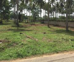 🌟 Prime Land for Sale in Tangalle: Perfect for a Residence or Investment! 🌳🏡 - 4