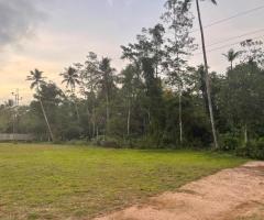 🌟 Build Your Dream Business Here! An Excellent Investment Opportunity on High-Level Road! 🌟 - 3